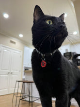 Load image into Gallery viewer, Mewgenics Inspired Cat and Dog Collar Charms | Pet Tag Accessory (Collar Not Included)