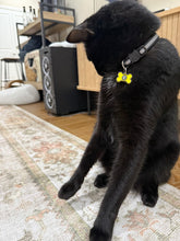 Load image into Gallery viewer, Mewgenics Inspired Cat and Dog Collar Charms | Pet Tag Accessory (Collar Not Included)
