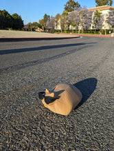 Load image into Gallery viewer, Pablo the Race Cat (Shell,  Sunglasses, 3D Printed Parts Only)
