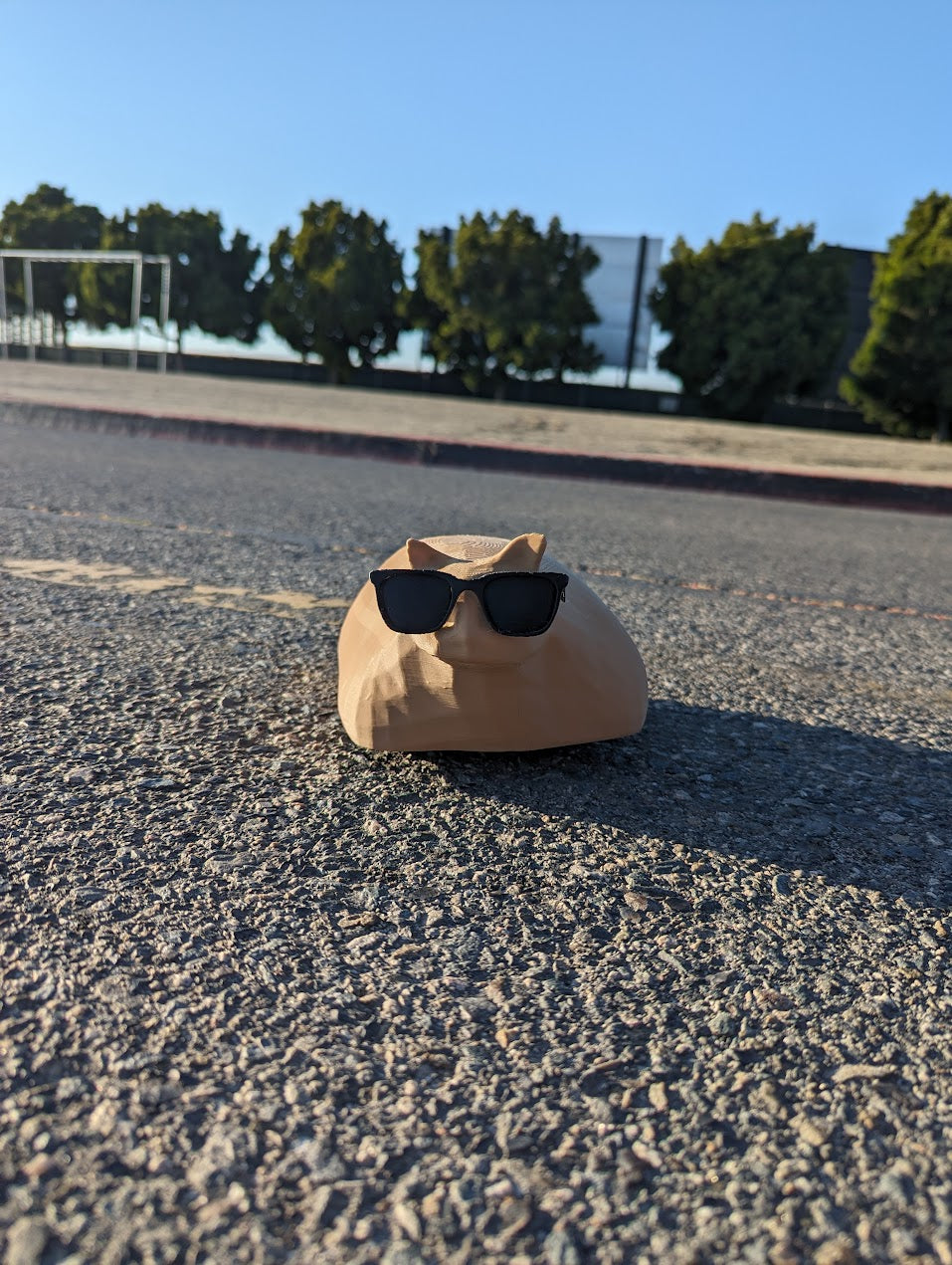 Pablo the Race Cat (Shell,  Sunglasses, 3D Printed Parts Only)