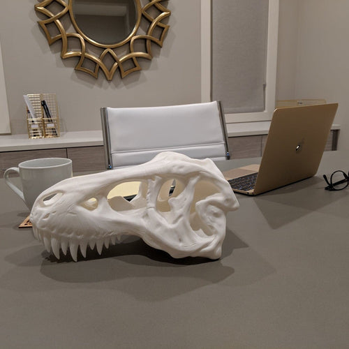 Large T-rex Skull || High Quality 3D Print - Casual Chicken