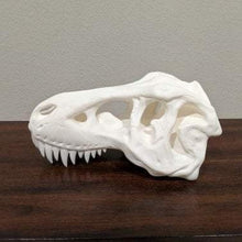 Load image into Gallery viewer, Large T-rex Skull || High Quality 3D Print - Casual Chicken
