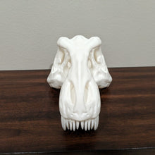Load image into Gallery viewer, Large T-rex Skull || High Quality 3D Print - Casual Chicken
